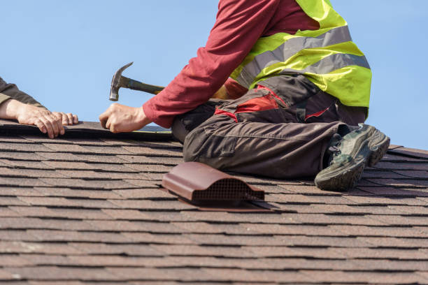 Roof Gutter Cleaning in Twin Grove, IL