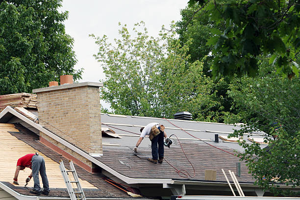Best Metal Roofing Contractor  in Twin Grove, IL